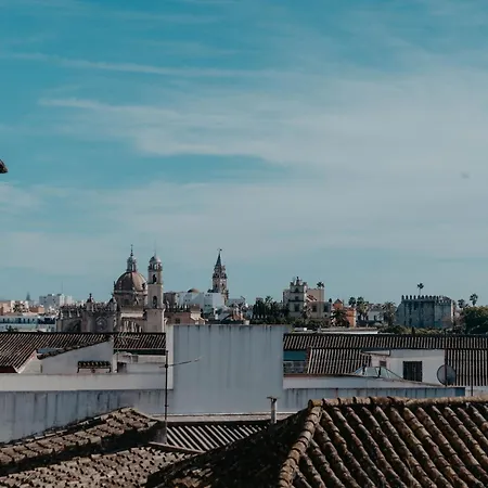 Azafran Jerez * Jerez de la Frontera